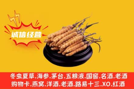 驻马店上蔡县回收冬虫夏草